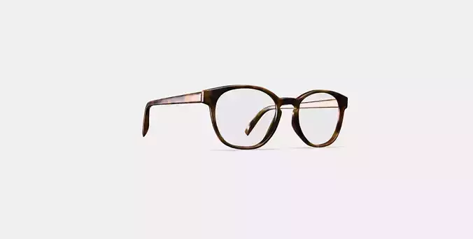 Abner Eyeglasses in Woodgrain Tortoise Low-poly 3D model