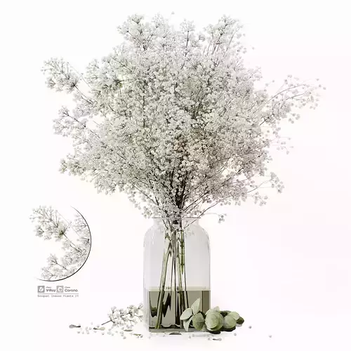 Bouquet Indoor Plants 23