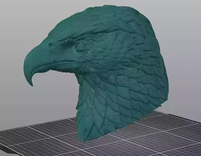 Eagle bust high detail feathers