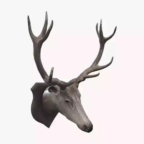 Medieval Deer Head