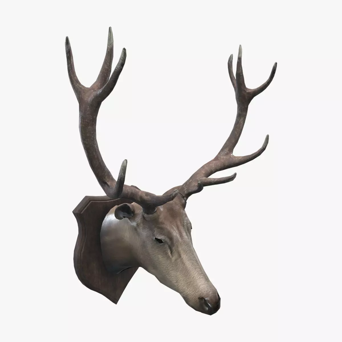 Medieval Deer Head Low-poly 3D model_0