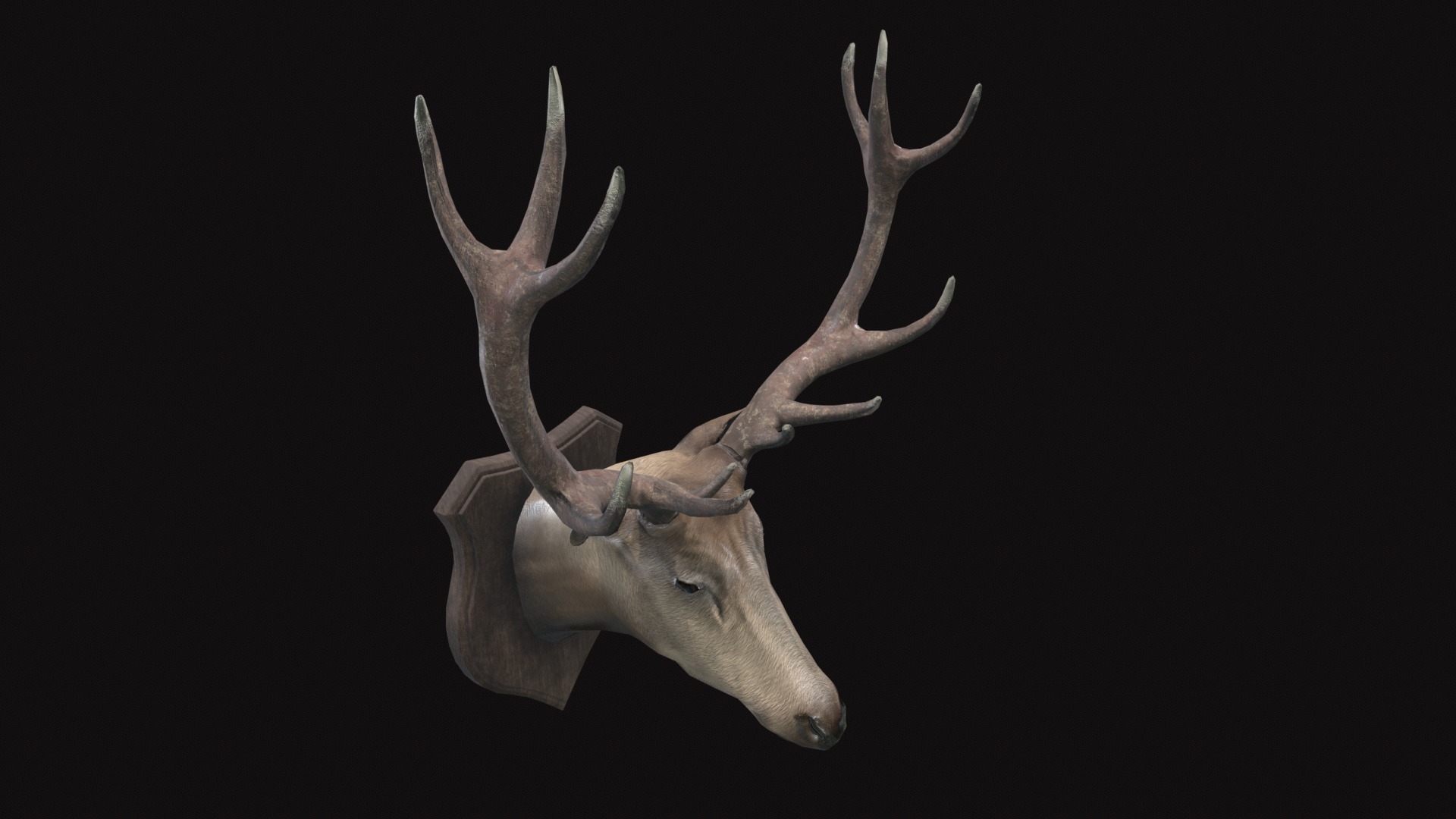 Medieval Deer Head Low-poly 3D model_2