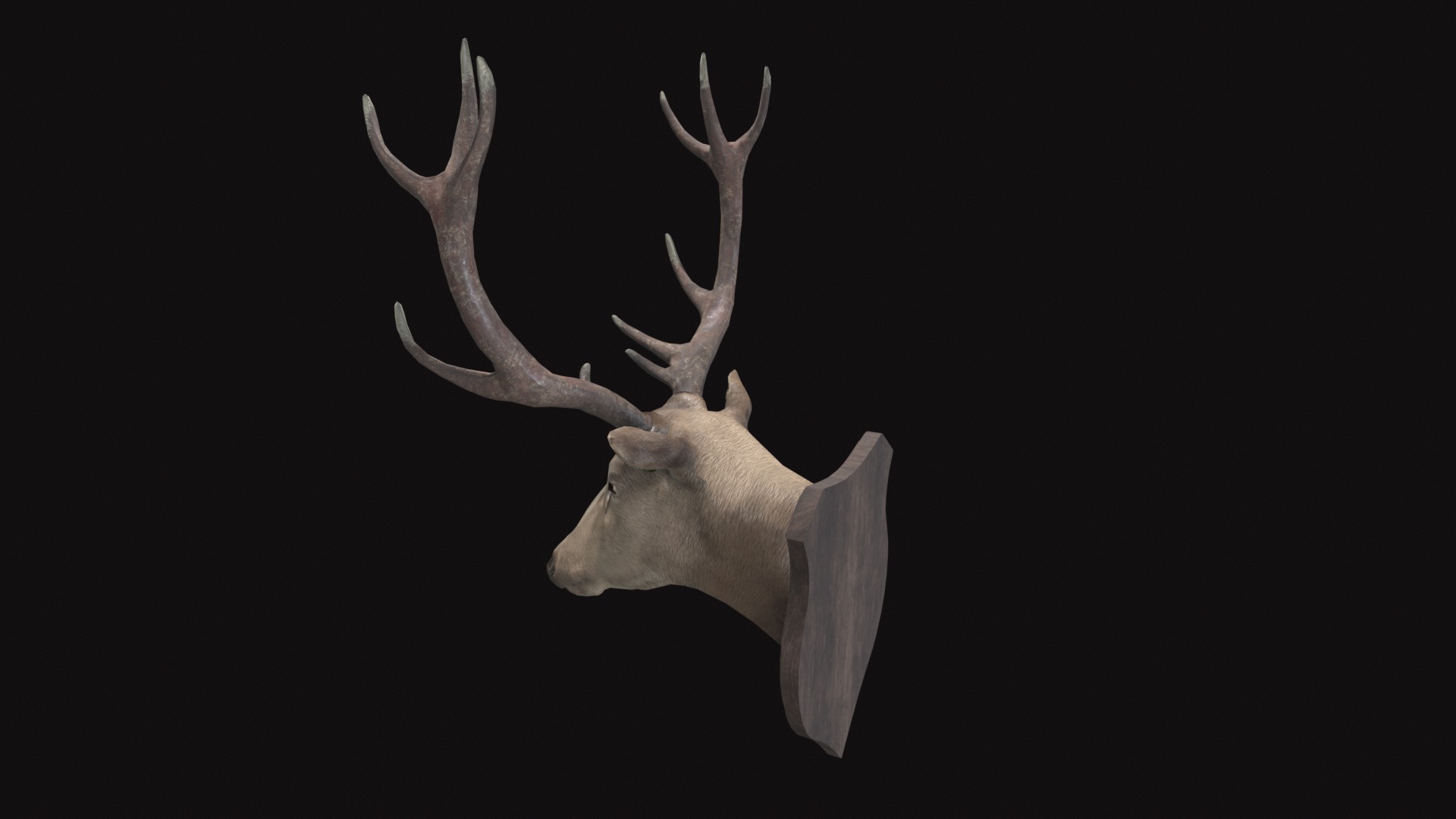 Medieval Deer Head Low-poly 3D model_3