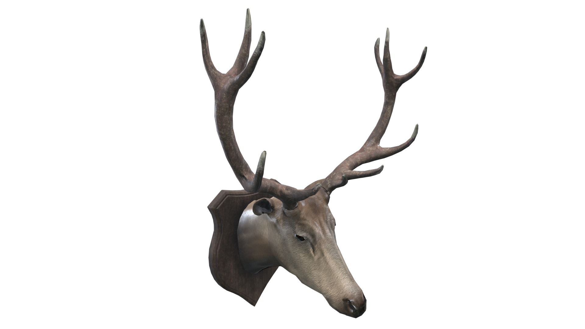Medieval Deer Head Low-poly 3D model_8