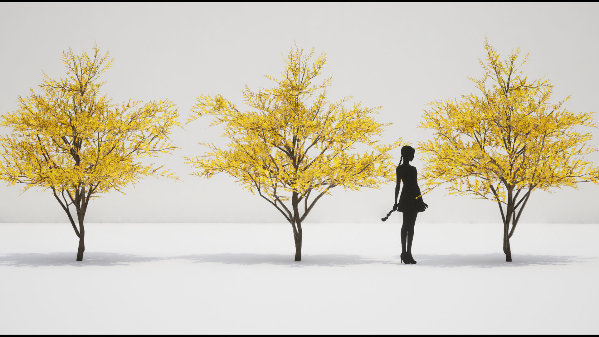 Korean Endemic Species Plant - 8 Korean Gaenari Flower Tree 3D model_10