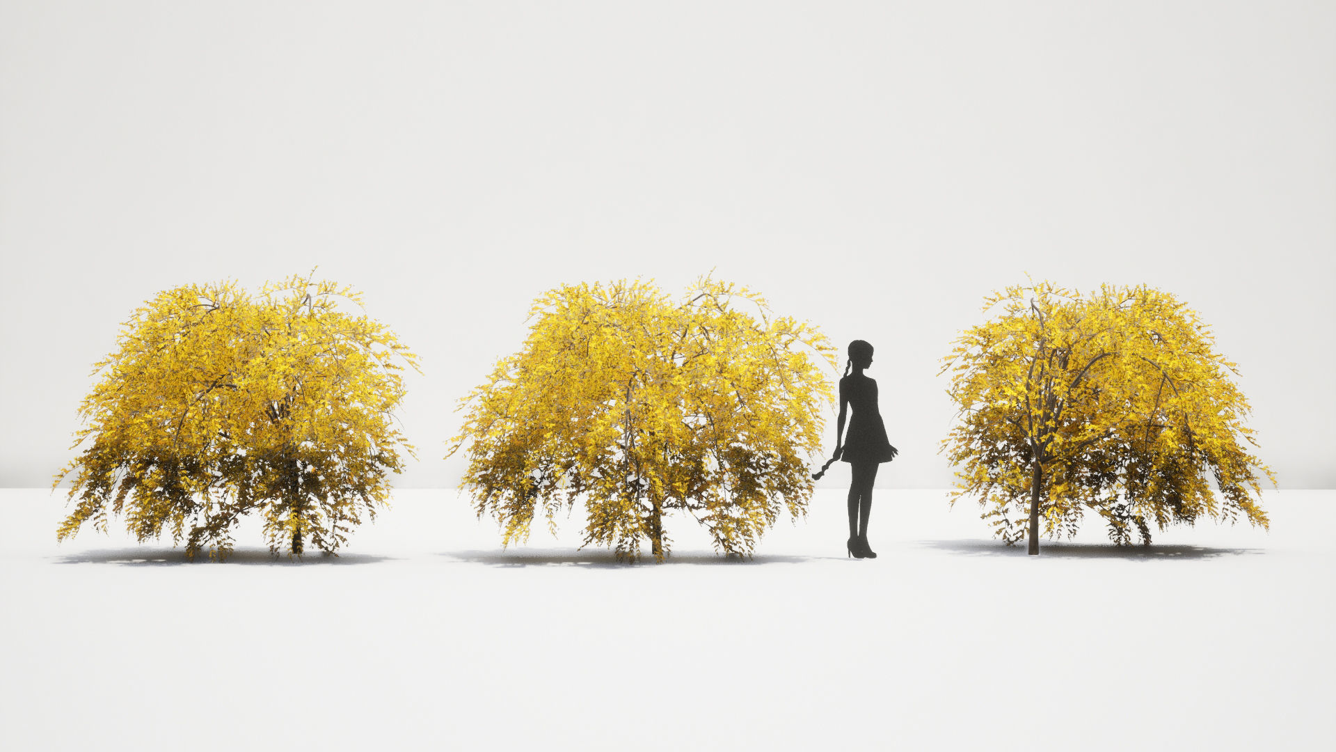 Korean Endemic Species Plant - 8 Korean Gaenari Flower Tree 3D model_5