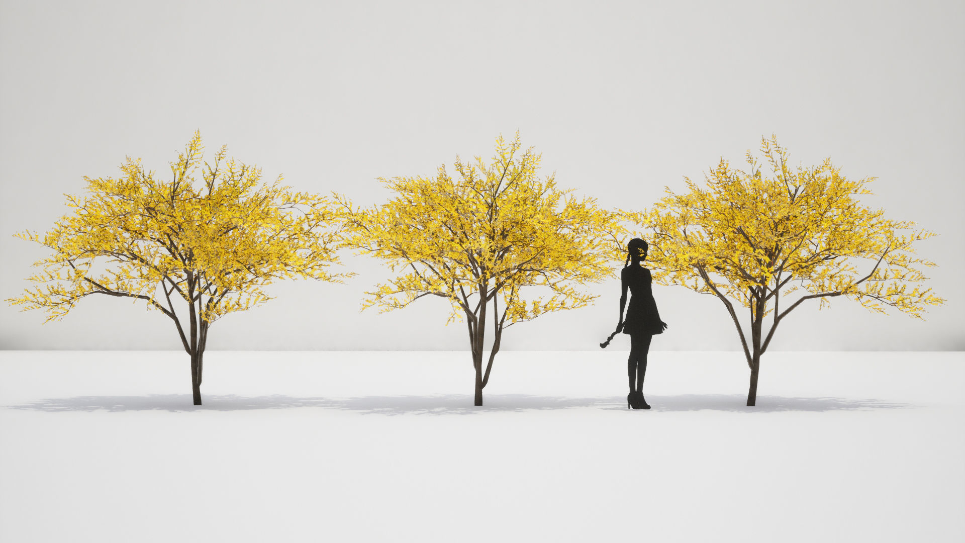 Korean Endemic Species Plant - 8 Korean Gaenari Flower Tree 3D model_8