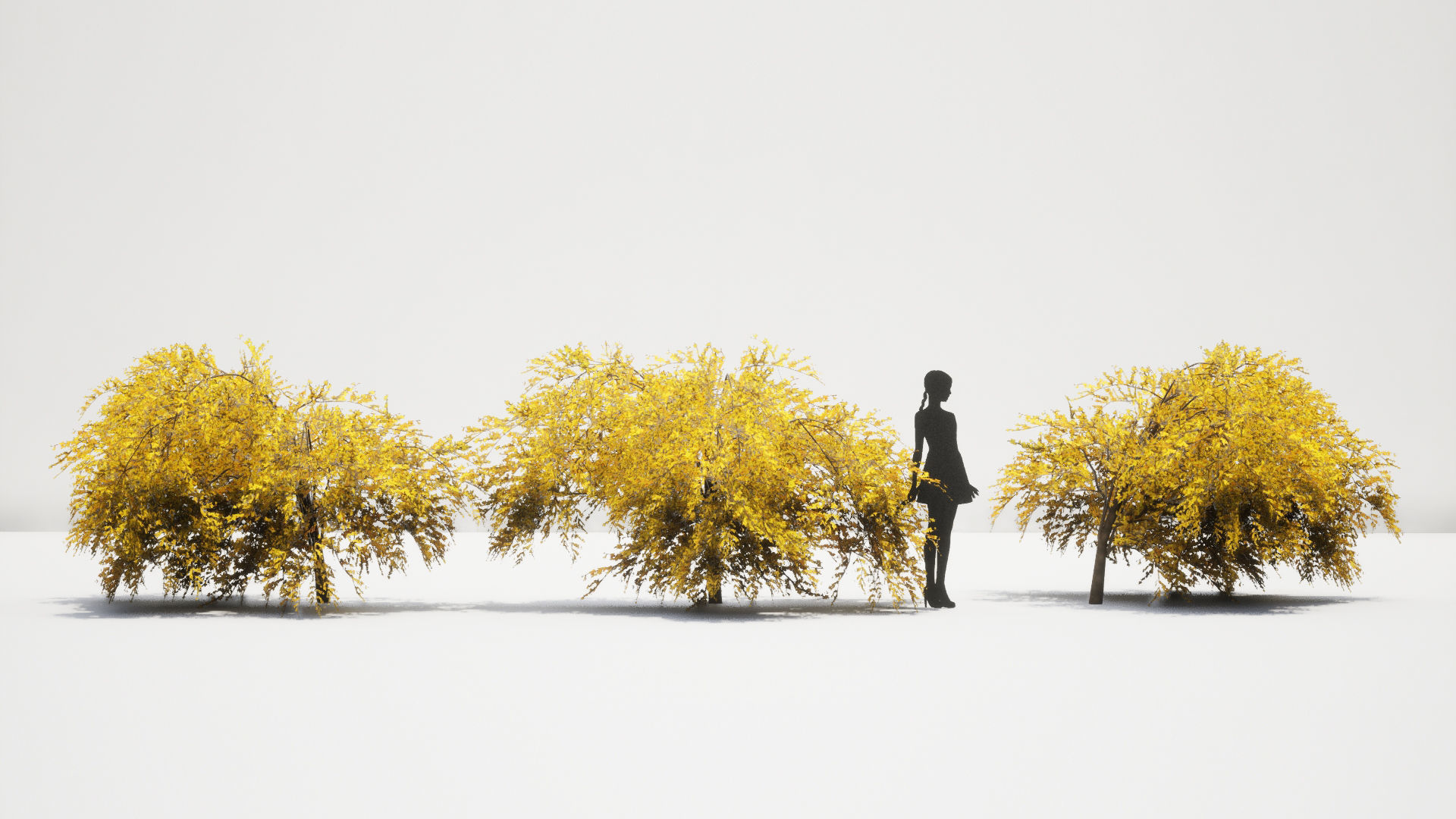 Korean Endemic Species Plant - 8 Korean Gaenari Flower Tree 3D model_7