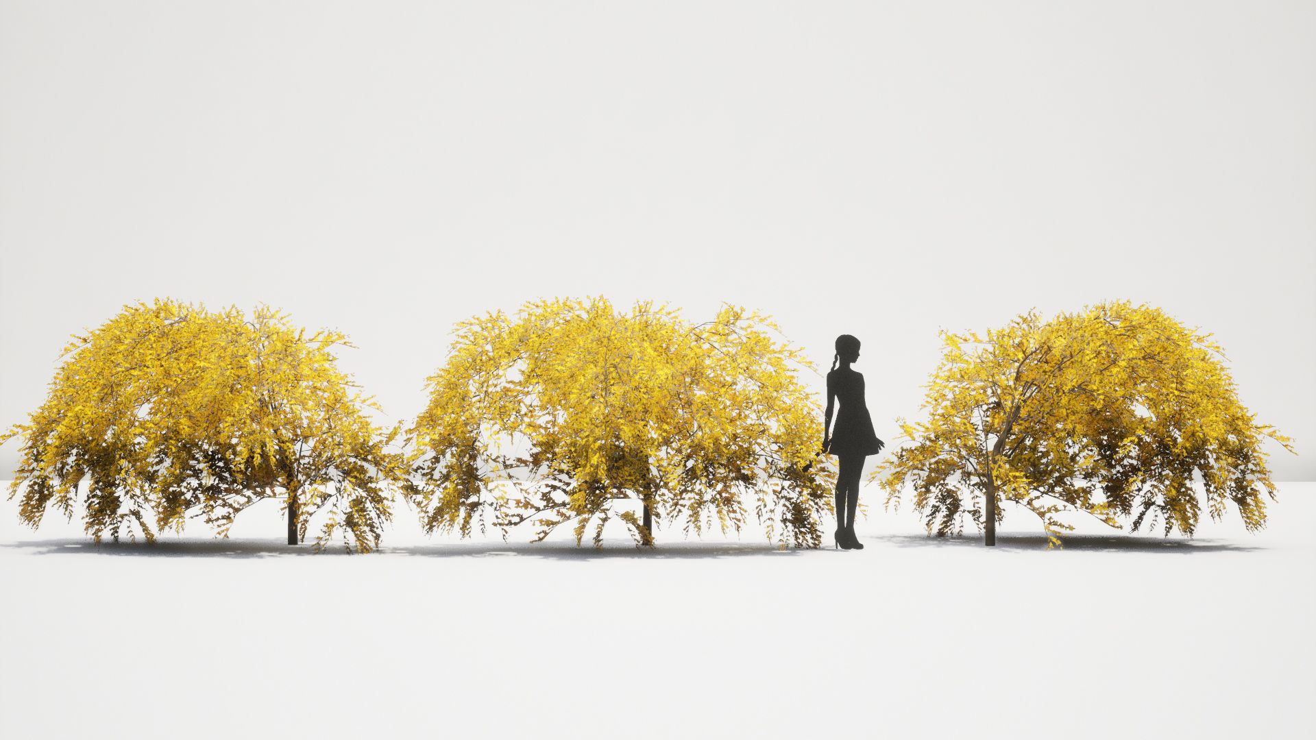 Korean Endemic Species Plant - 8 Korean Gaenari Flower Tree 3D model_6