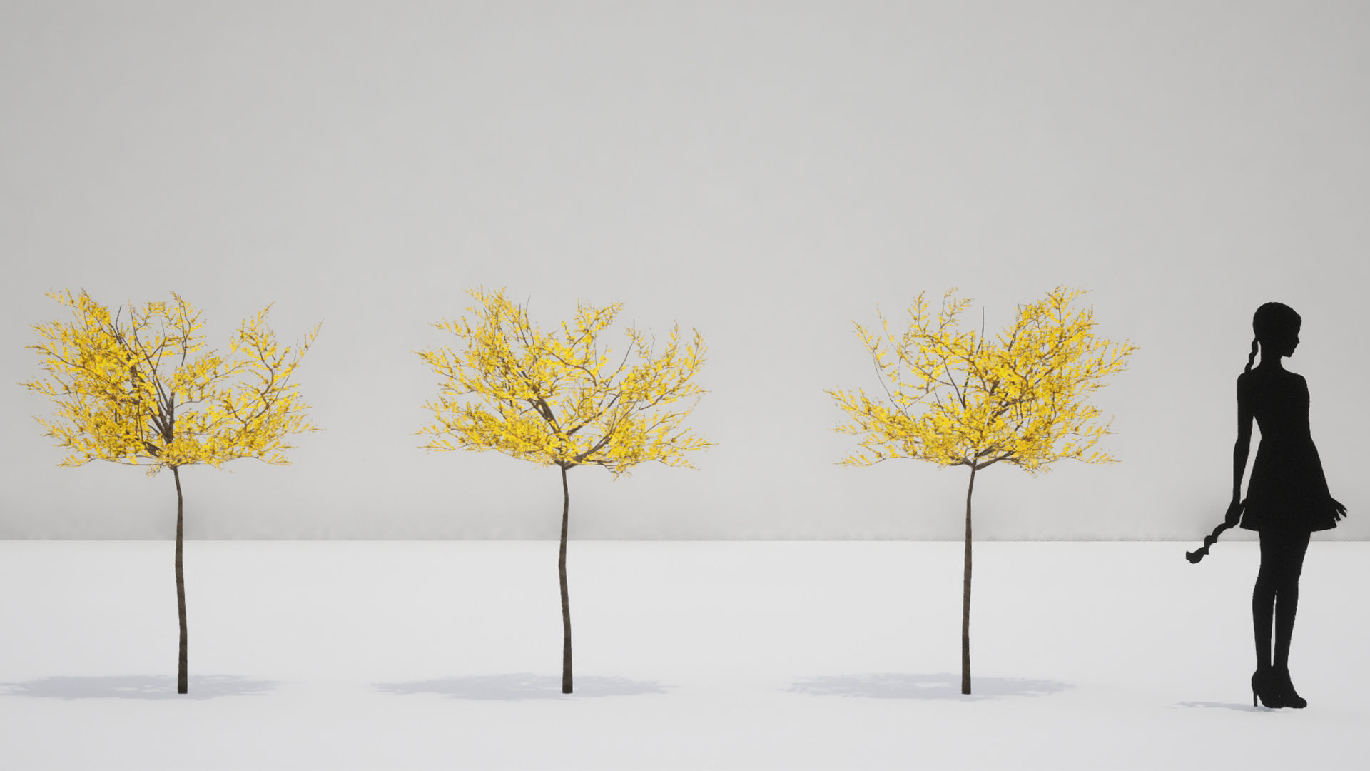 Korean Endemic Species Plant - 8 Korean Gaenari Flower Tree 3D model_11