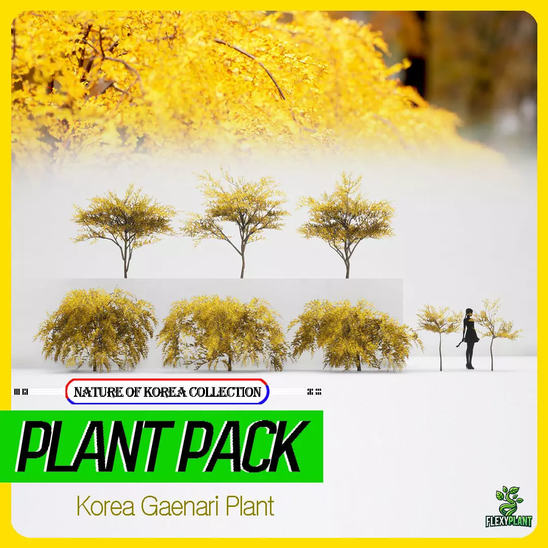Korean Endemic Species Plant - 8 Korean Gaenari Flower Tree 3D model_0