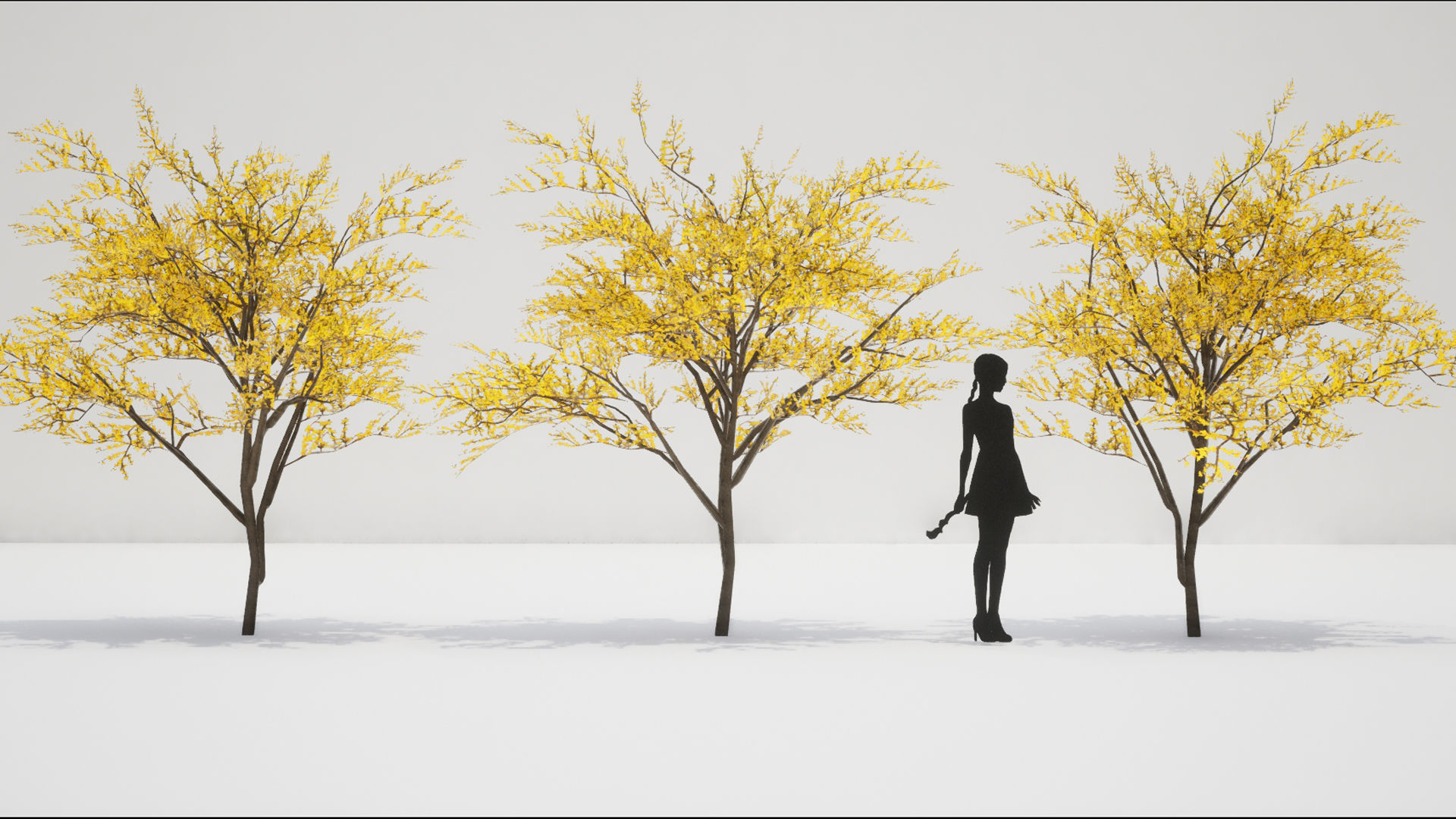 Korean Endemic Species Plant - 8 Korean Gaenari Flower Tree 3D model_9