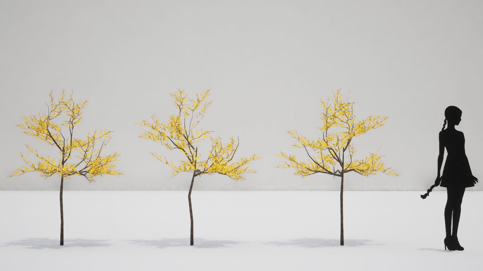 Korean Endemic Species Plant - 8 Korean Gaenari Flower Tree 3D model_12