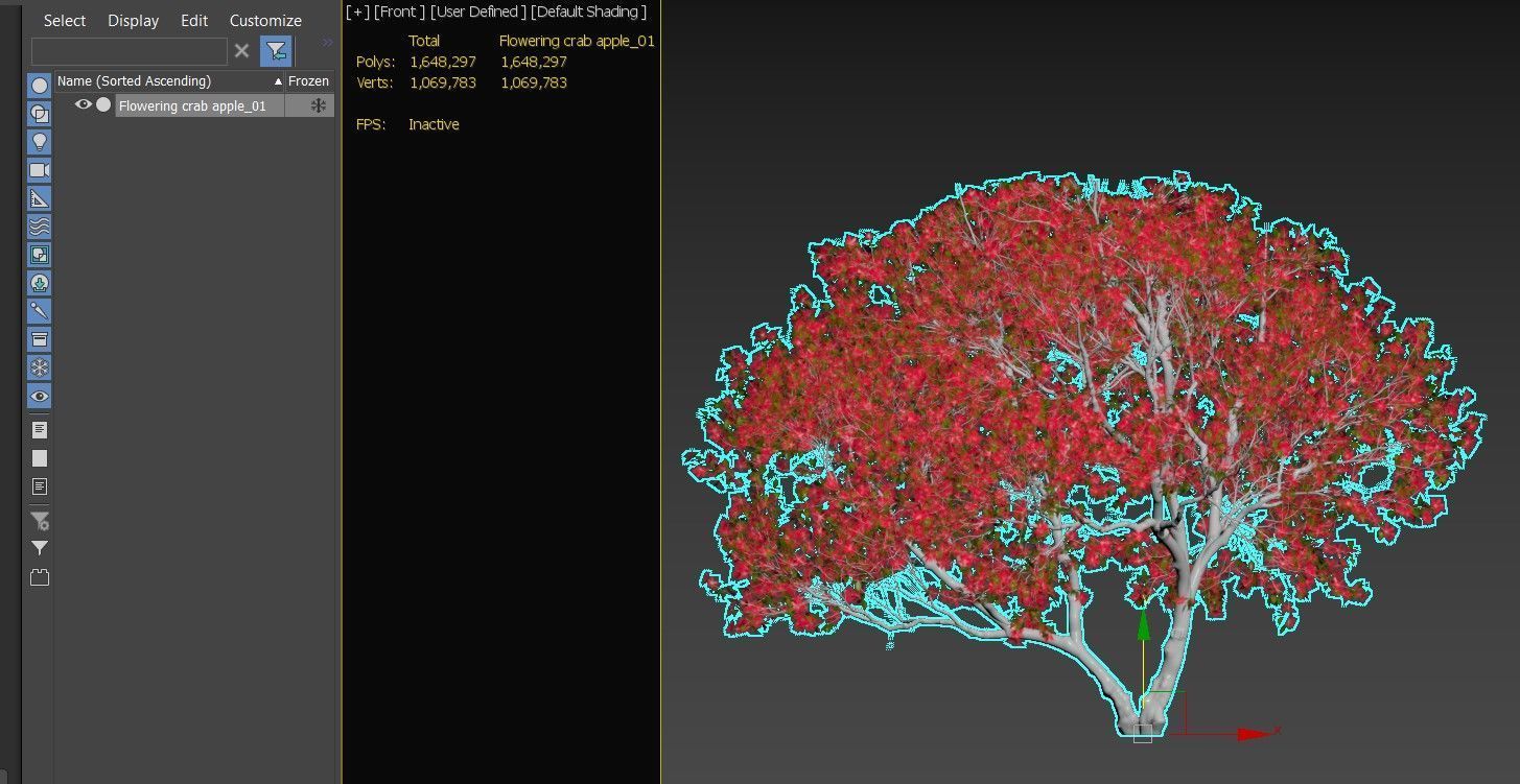 Flowering crab apple 3D model_4