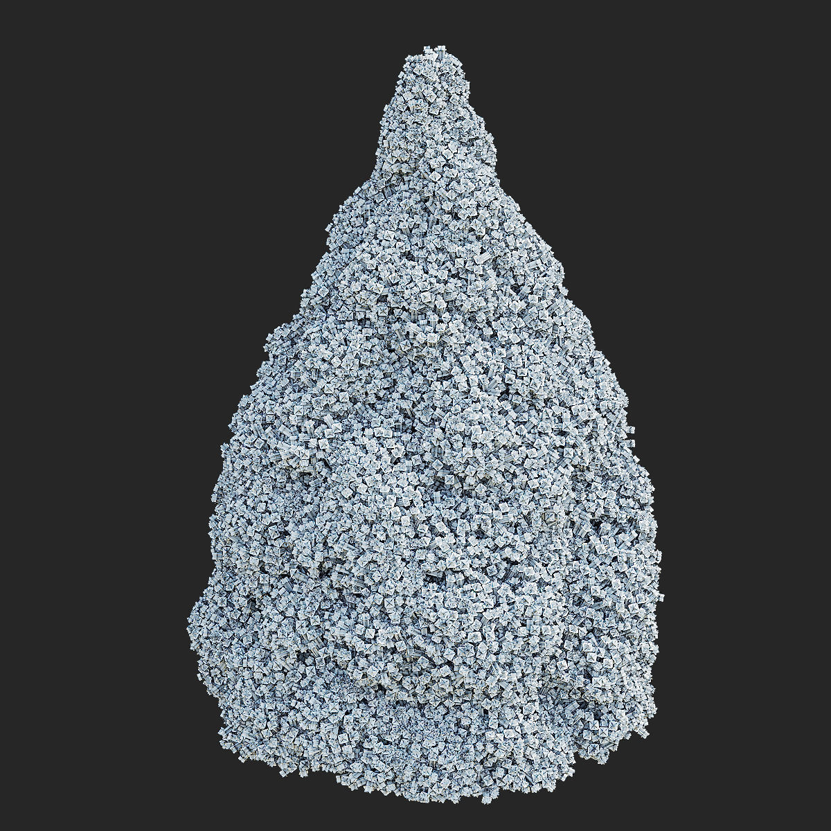 Picea glauca Conica 3D model_3