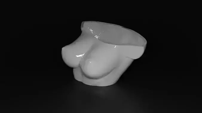 Woman Body Boobs Planter  3D Printable Decorative Vase 3D print model