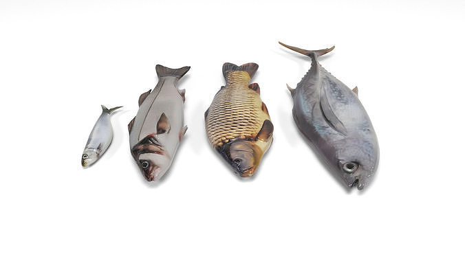 Fish 2 set Low-poly 3D model 5