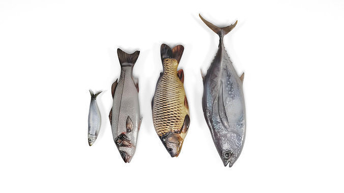 Fish 2 set Low-poly 3D model 4