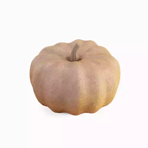 Pumpkin 