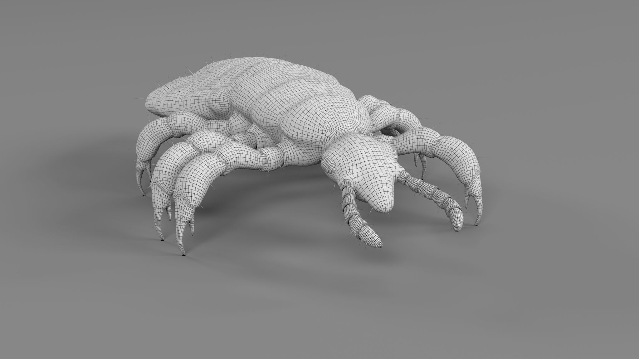 PHOTOREALISTIC ANIMATED LICE 3D model_32