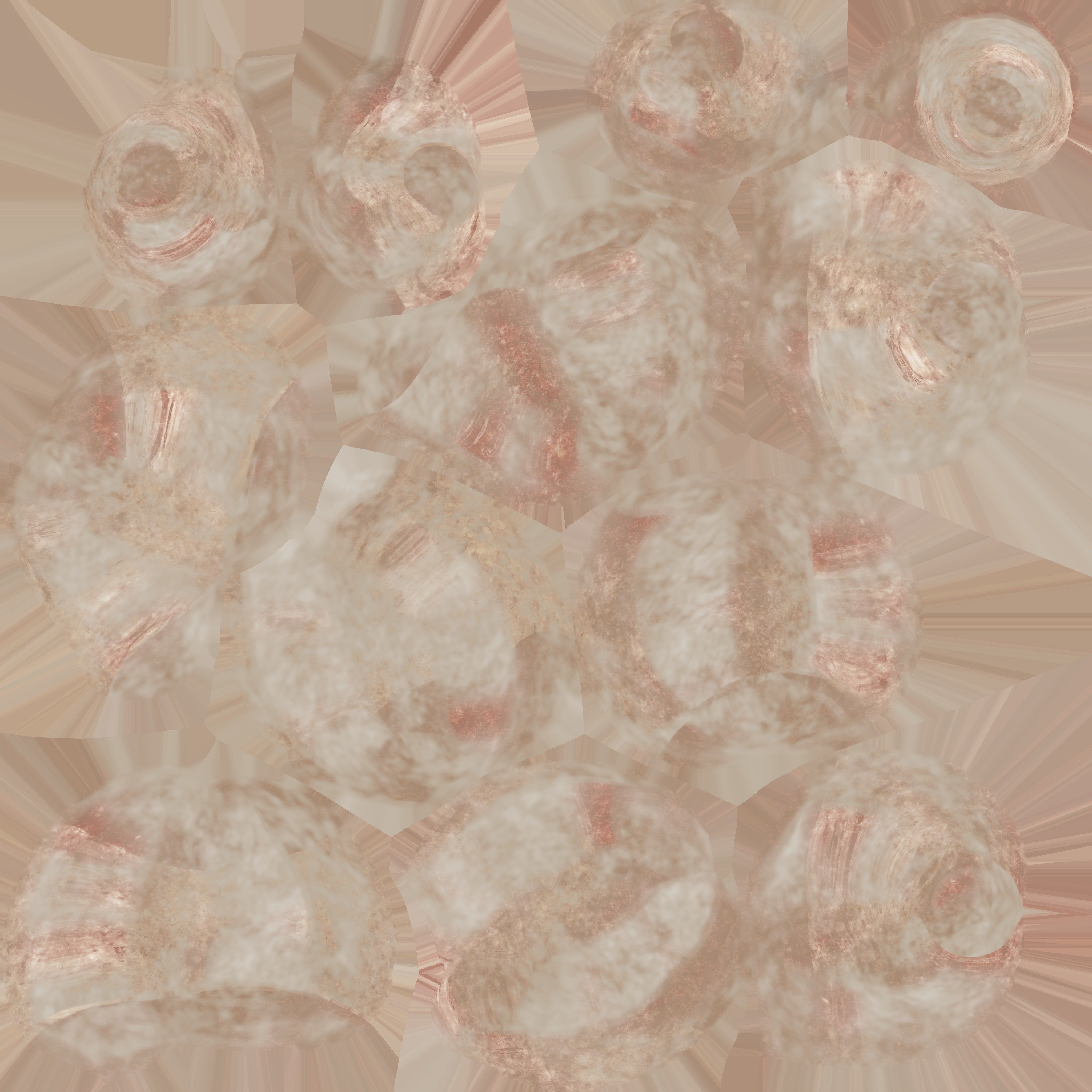 PHOTOREALISTIC ANIMATED LICE 3D model_126