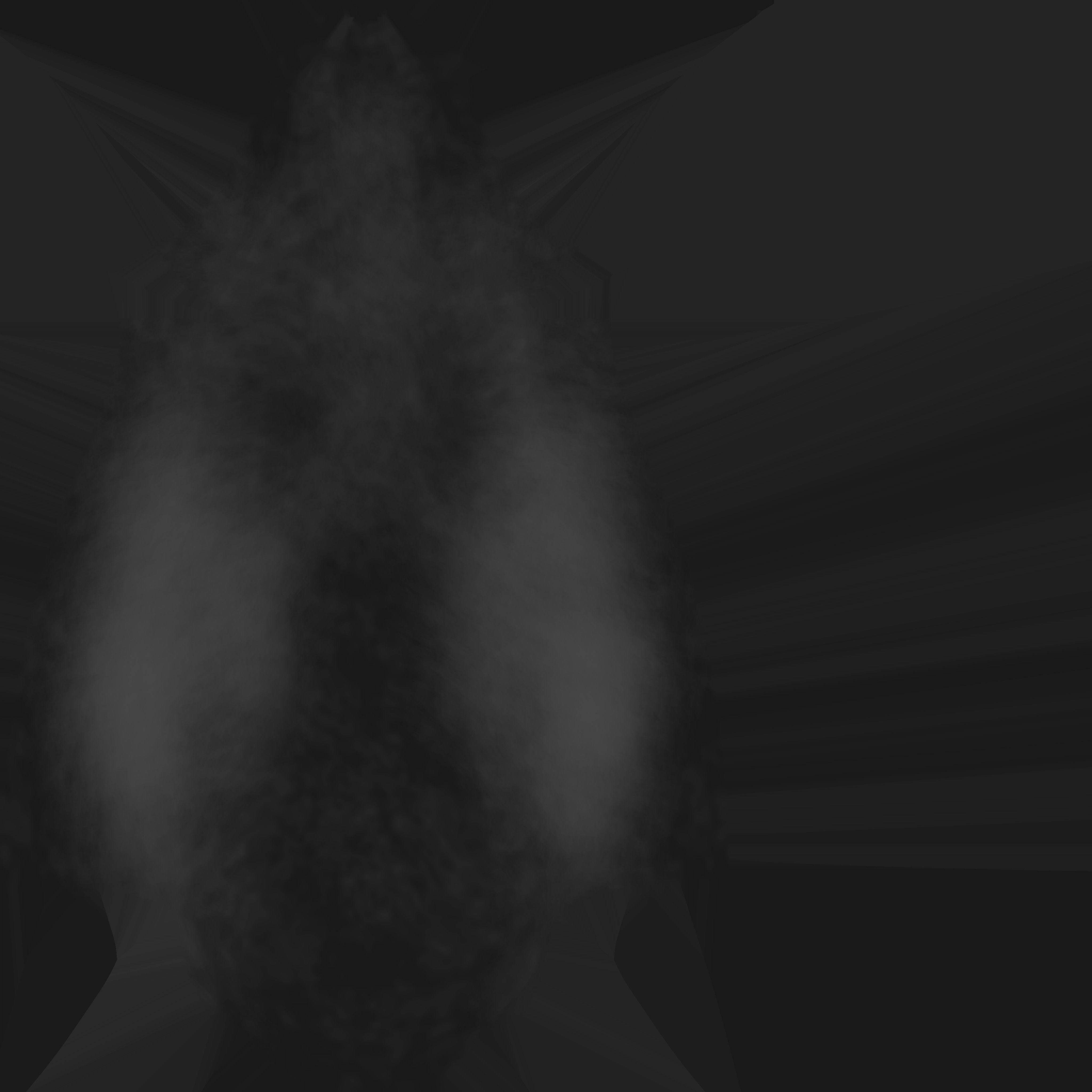 PHOTOREALISTIC ANIMATED LICE 3D model_135