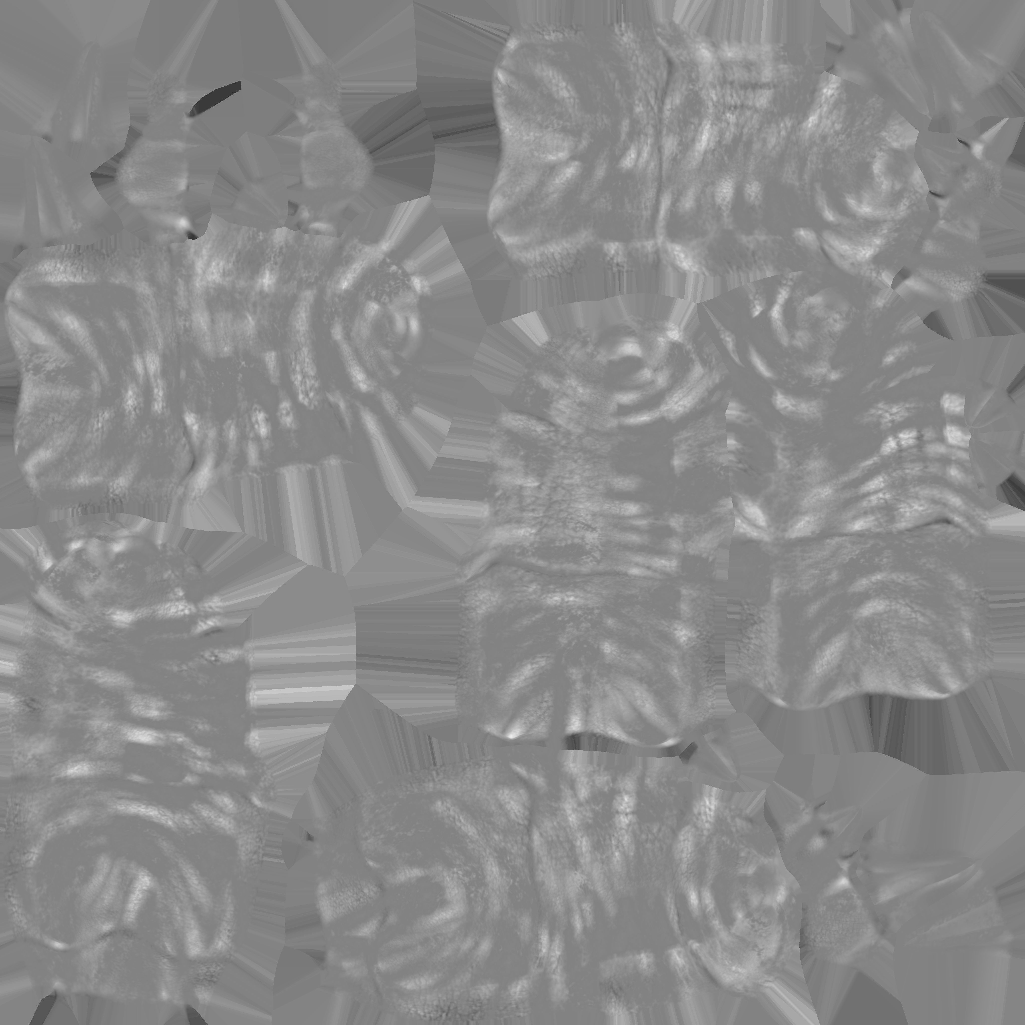 PHOTOREALISTIC ANIMATED LICE 3D model_143