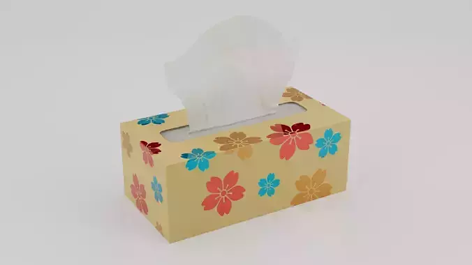 Realistic Tissue Box