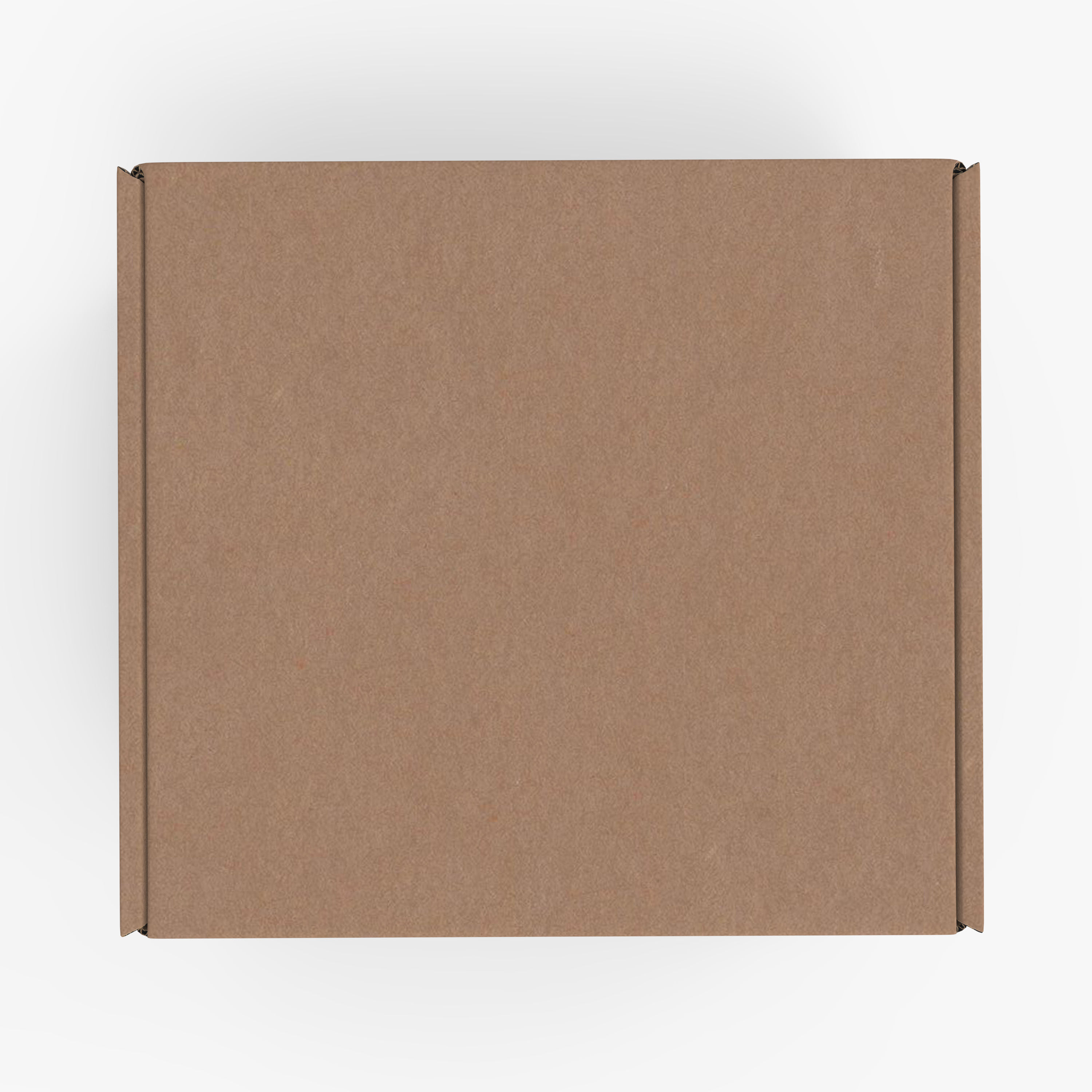 Cardboard box Low-poly 3D model_5