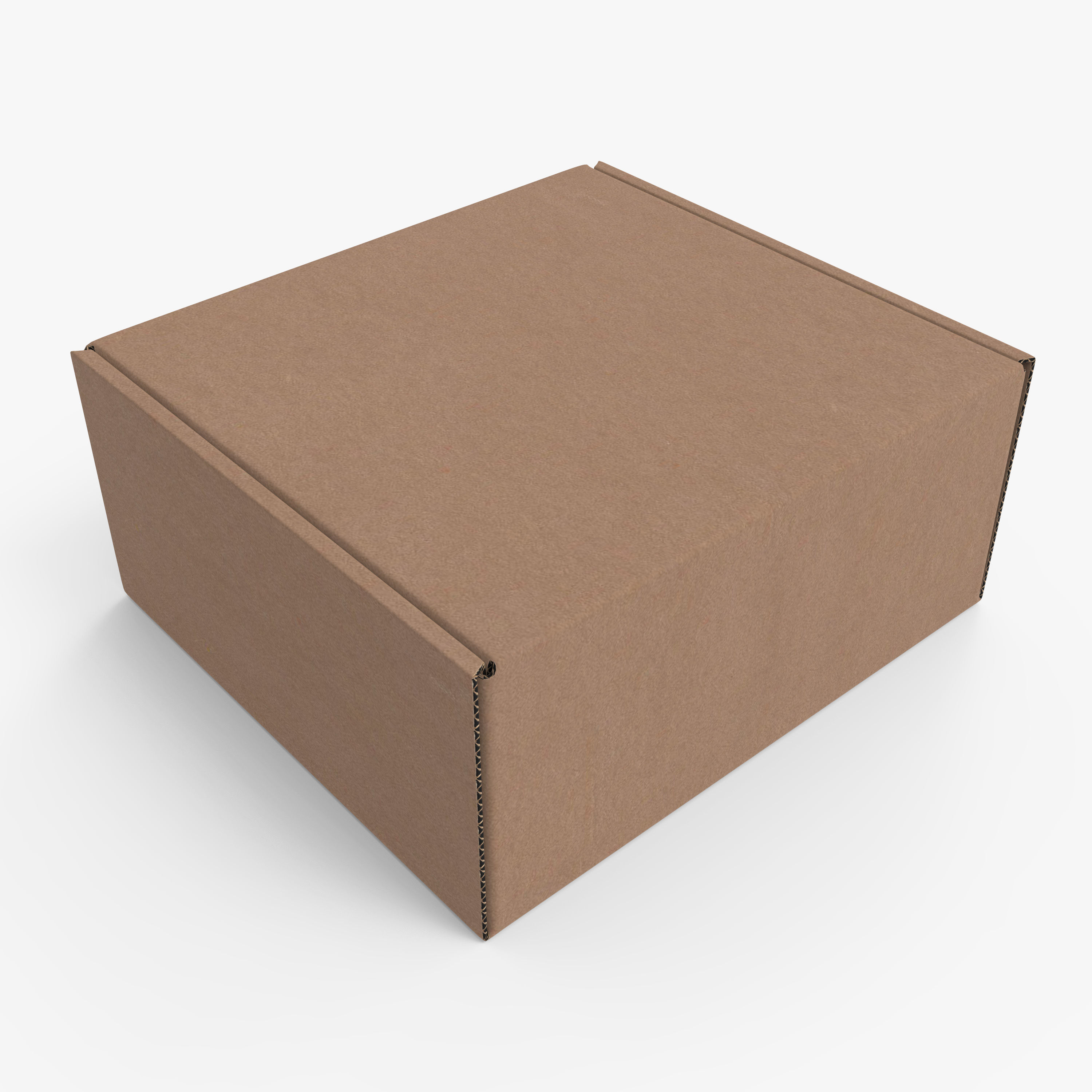 Cardboard box Low-poly 3D model_4
