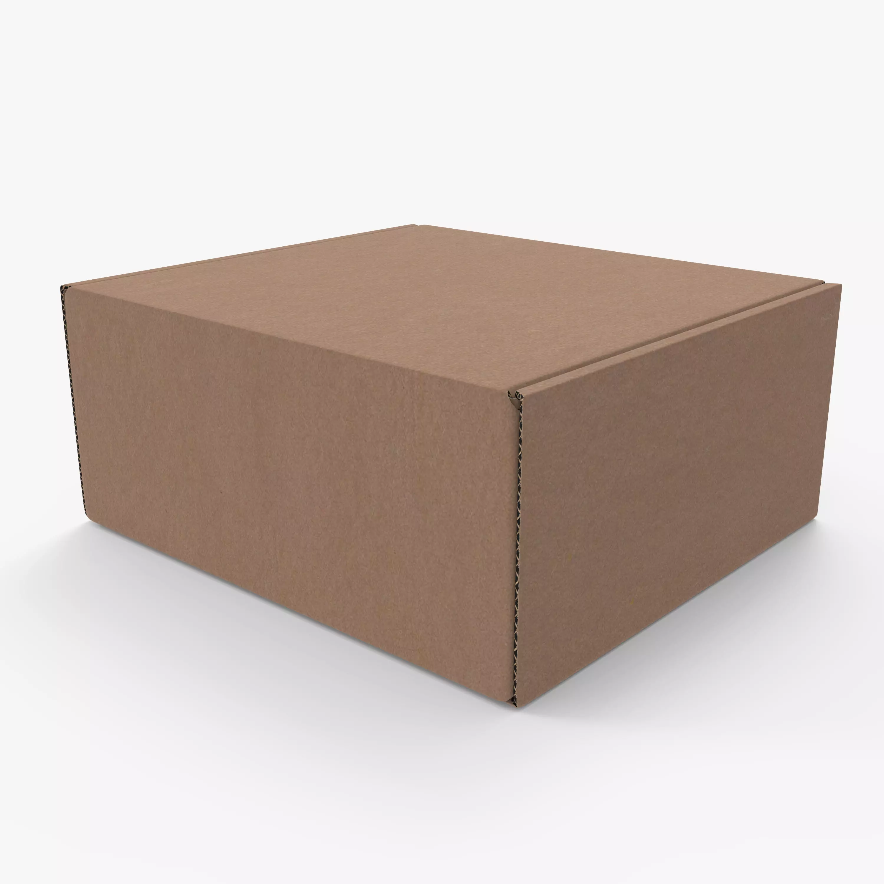 Cardboard box Low-poly 3D model_0