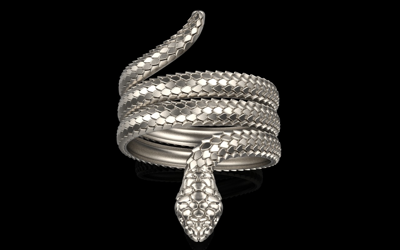 Snake ring model 672 3D print model_17