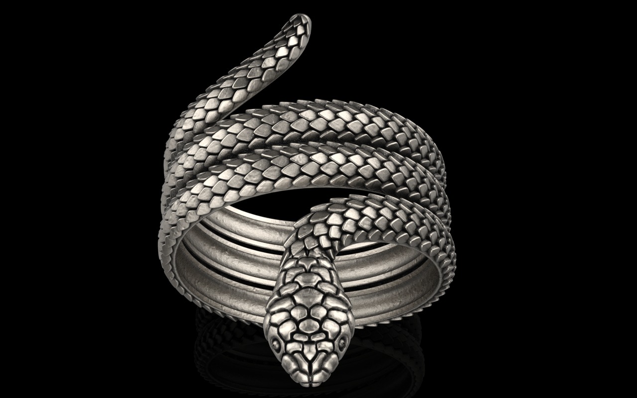 Snake ring model 672 3D print model_2