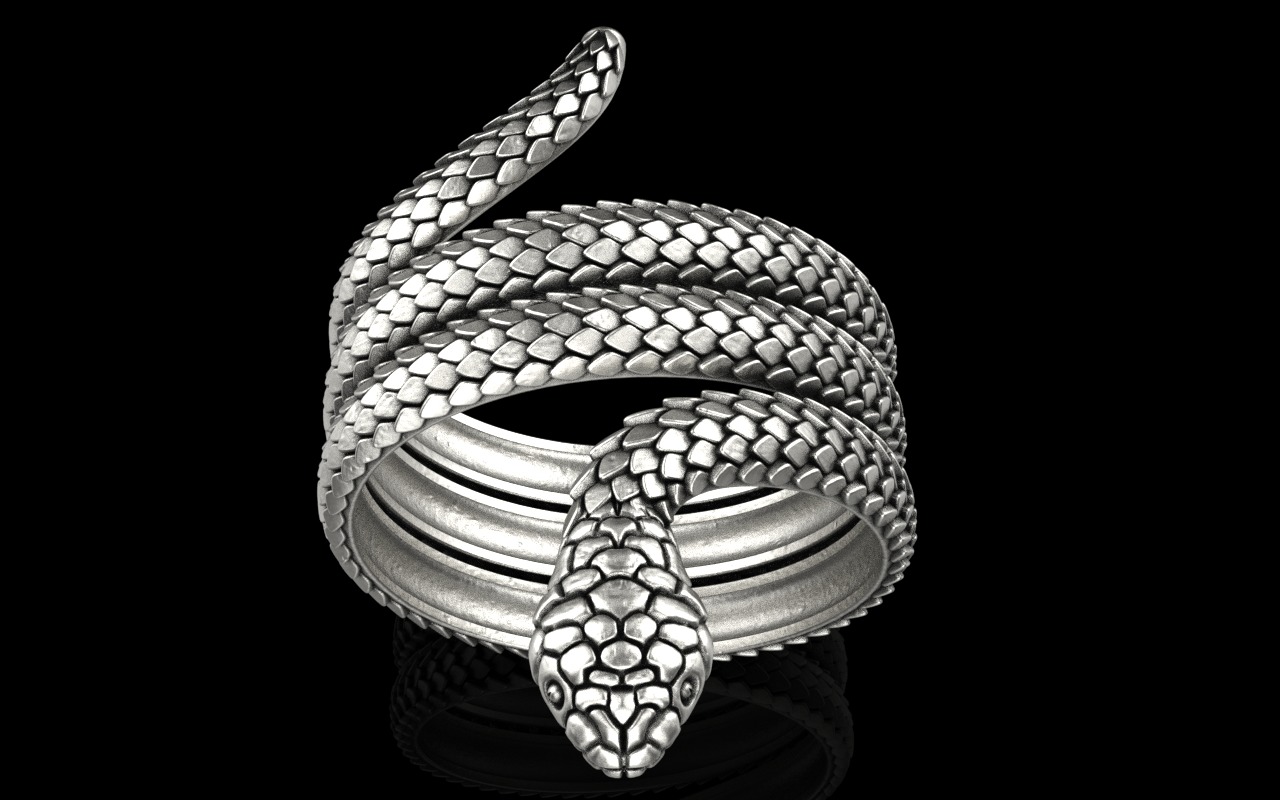 Snake ring model 672 3D print model_1