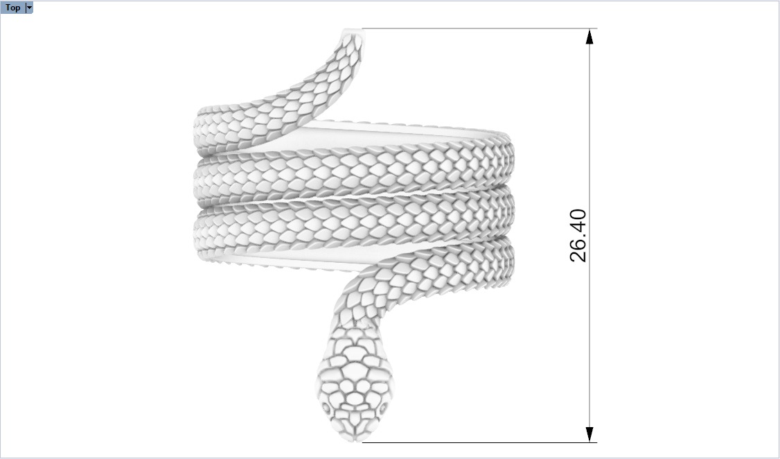 Snake ring model 672 3D print model_7