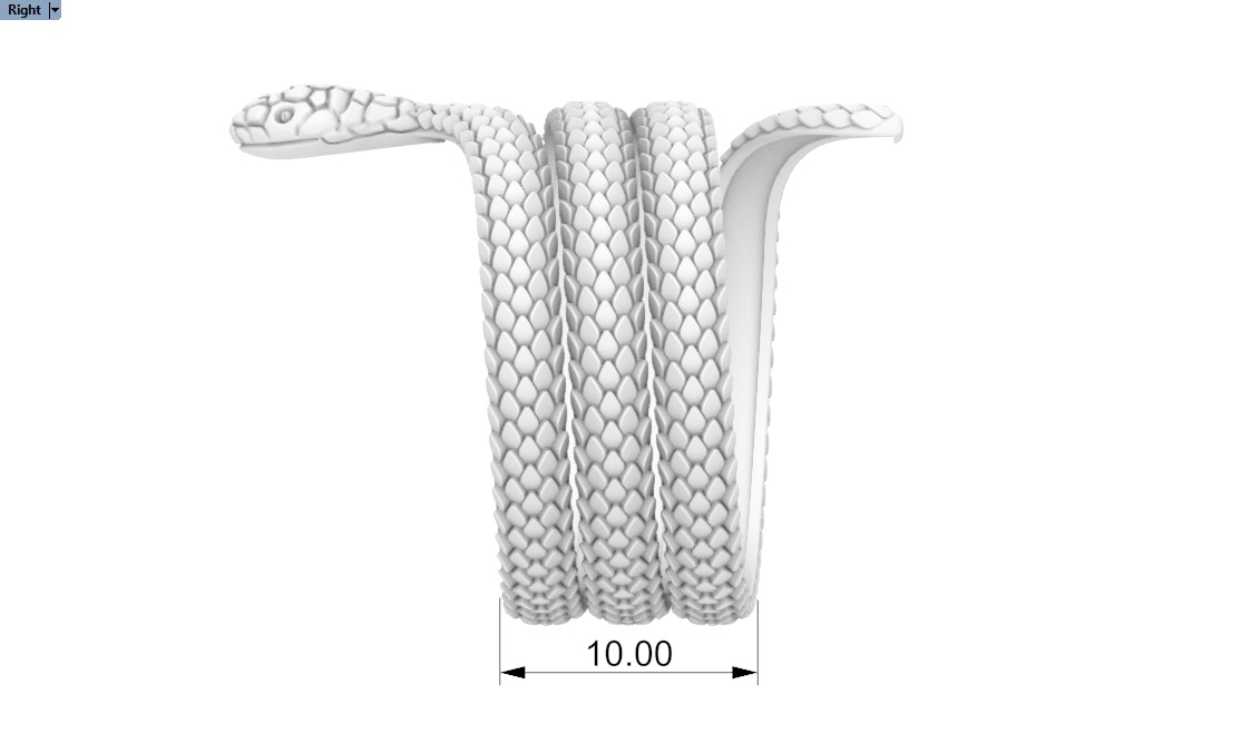 Snake ring model 672 3D print model_5