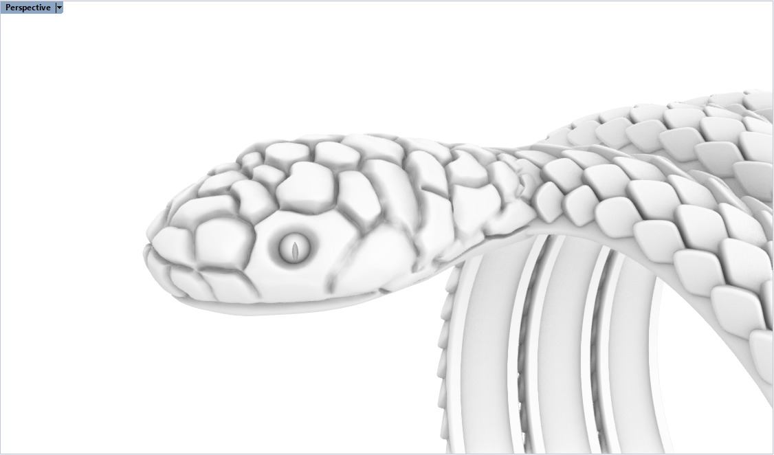 Snake ring model 672 3D print model_9