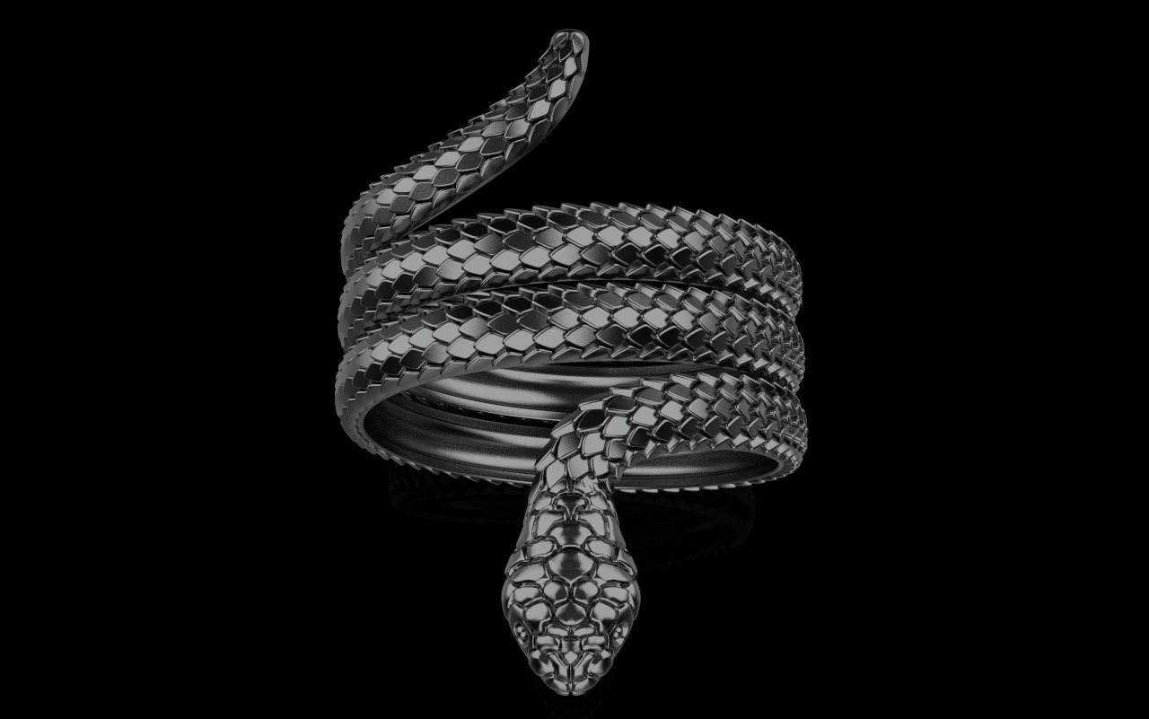 Snake ring model 672 3D print model_19