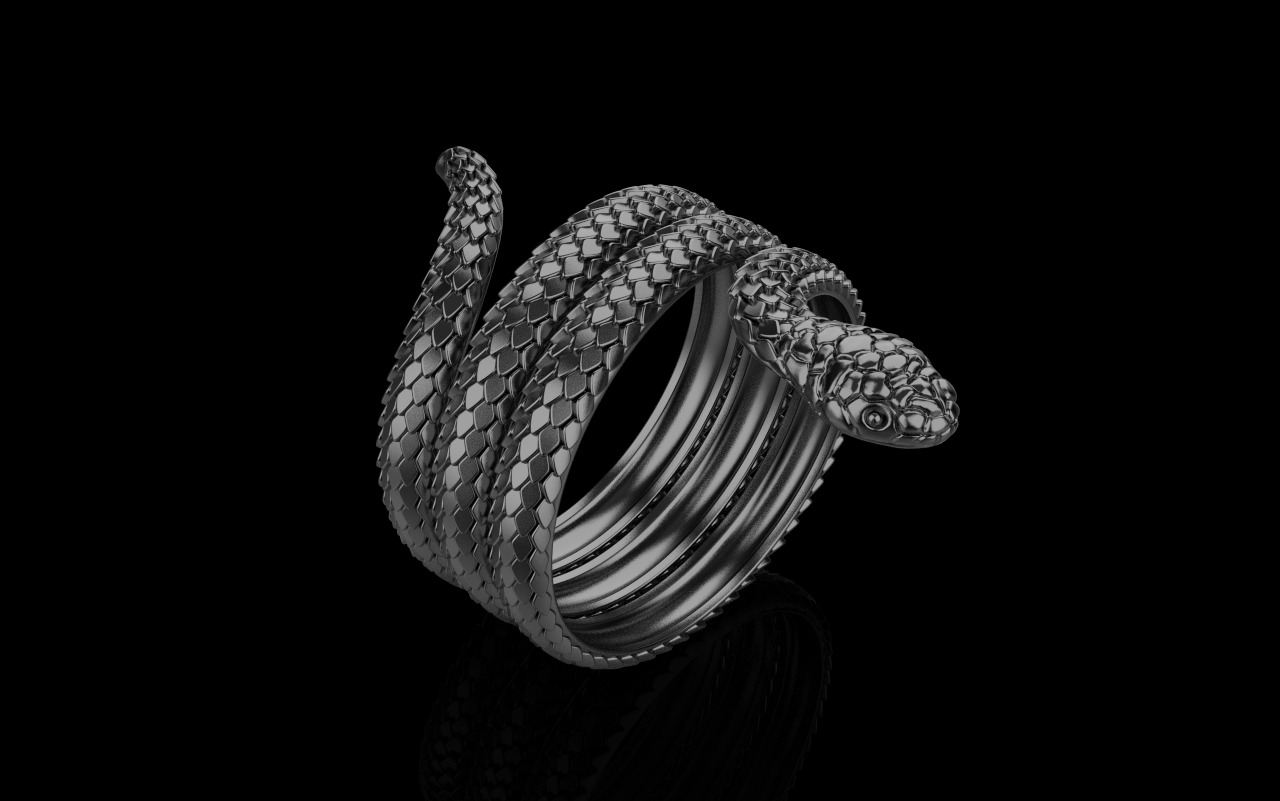 Snake ring model 672 3D print model_38