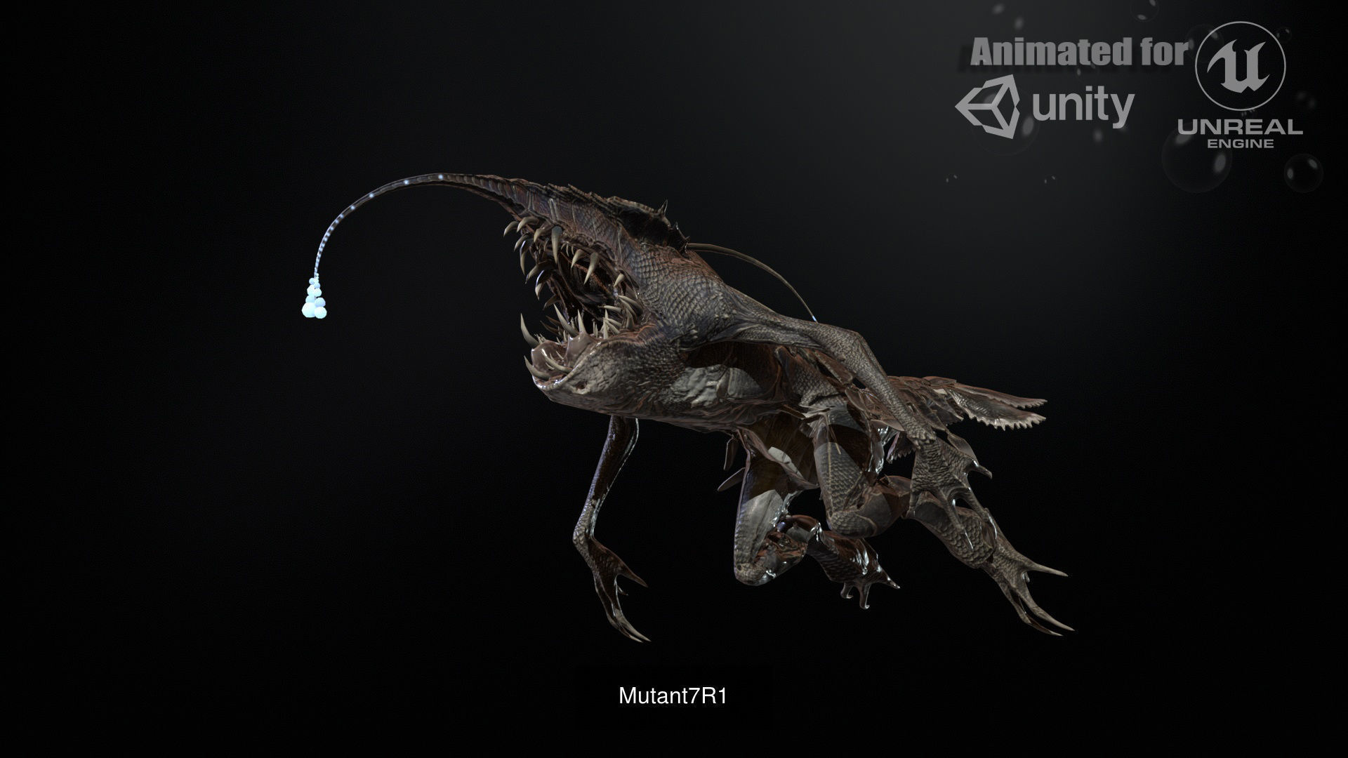 MutantR Collections _15