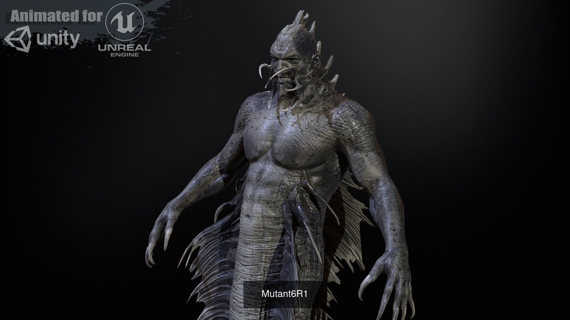 MutantR Collections _14