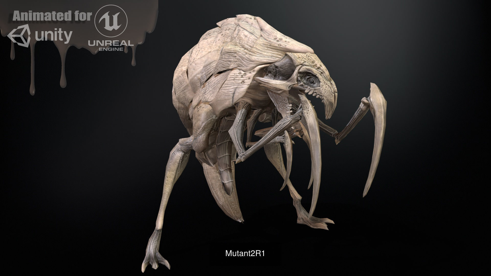 MutantR Collections _10