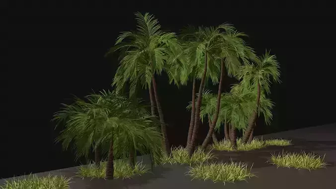 Palm forest and grass