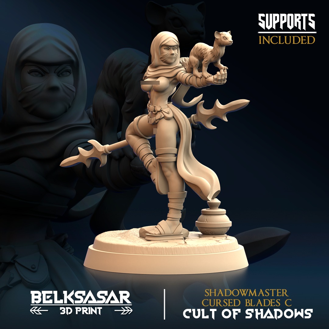 Shadowmaster Cursed Blades F Nude 3D print model_4
