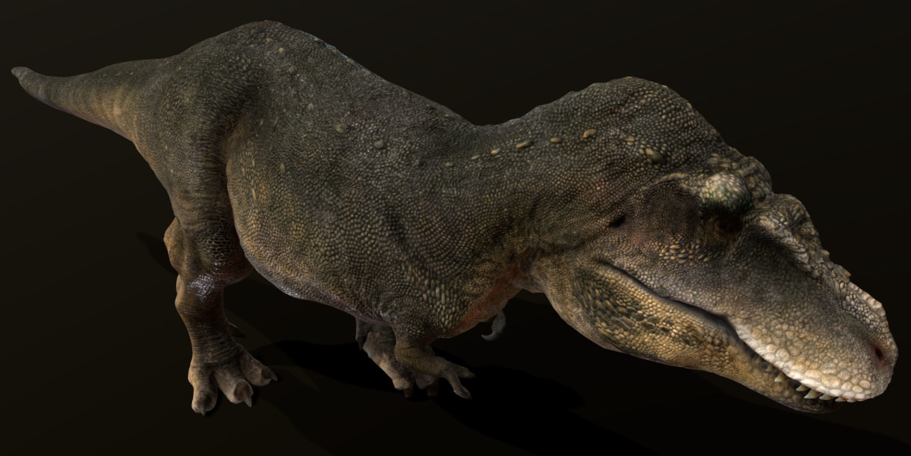 Tarbosaurus Low-poly 3D model_10