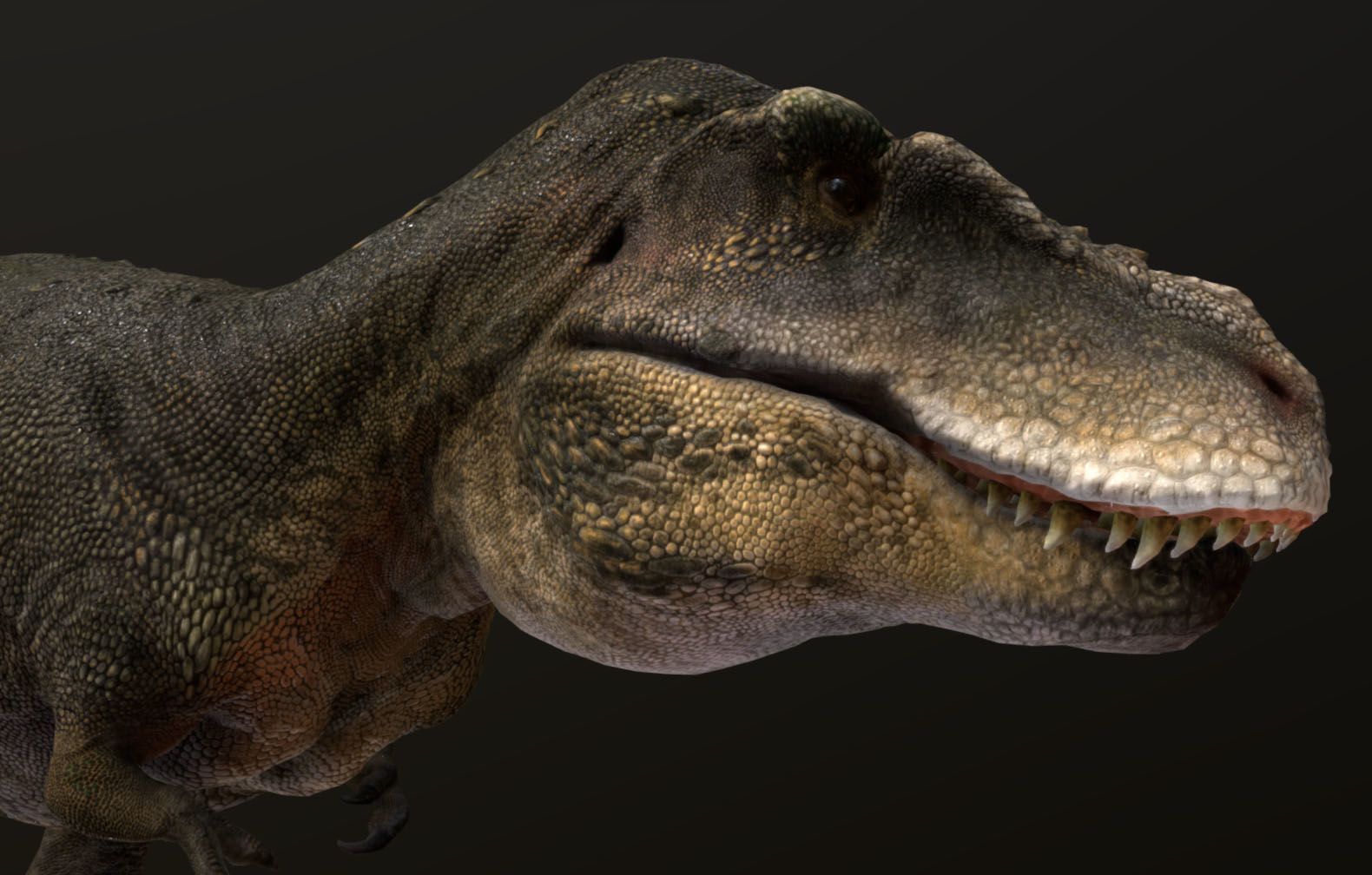 Tarbosaurus Low-poly 3D model_1