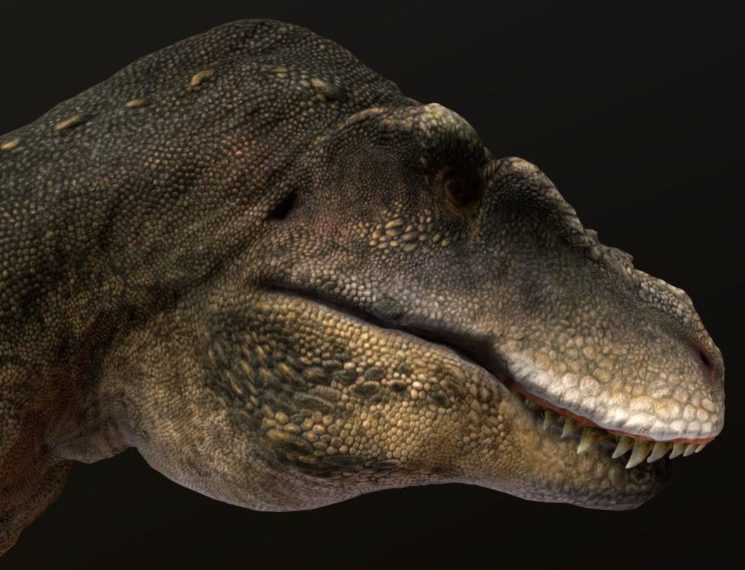 Tarbosaurus Low-poly 3D model_7