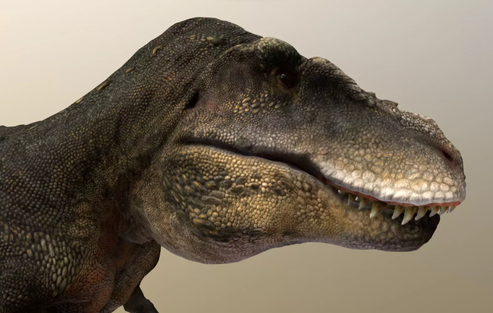 Tarbosaurus Low-poly 3D model_0