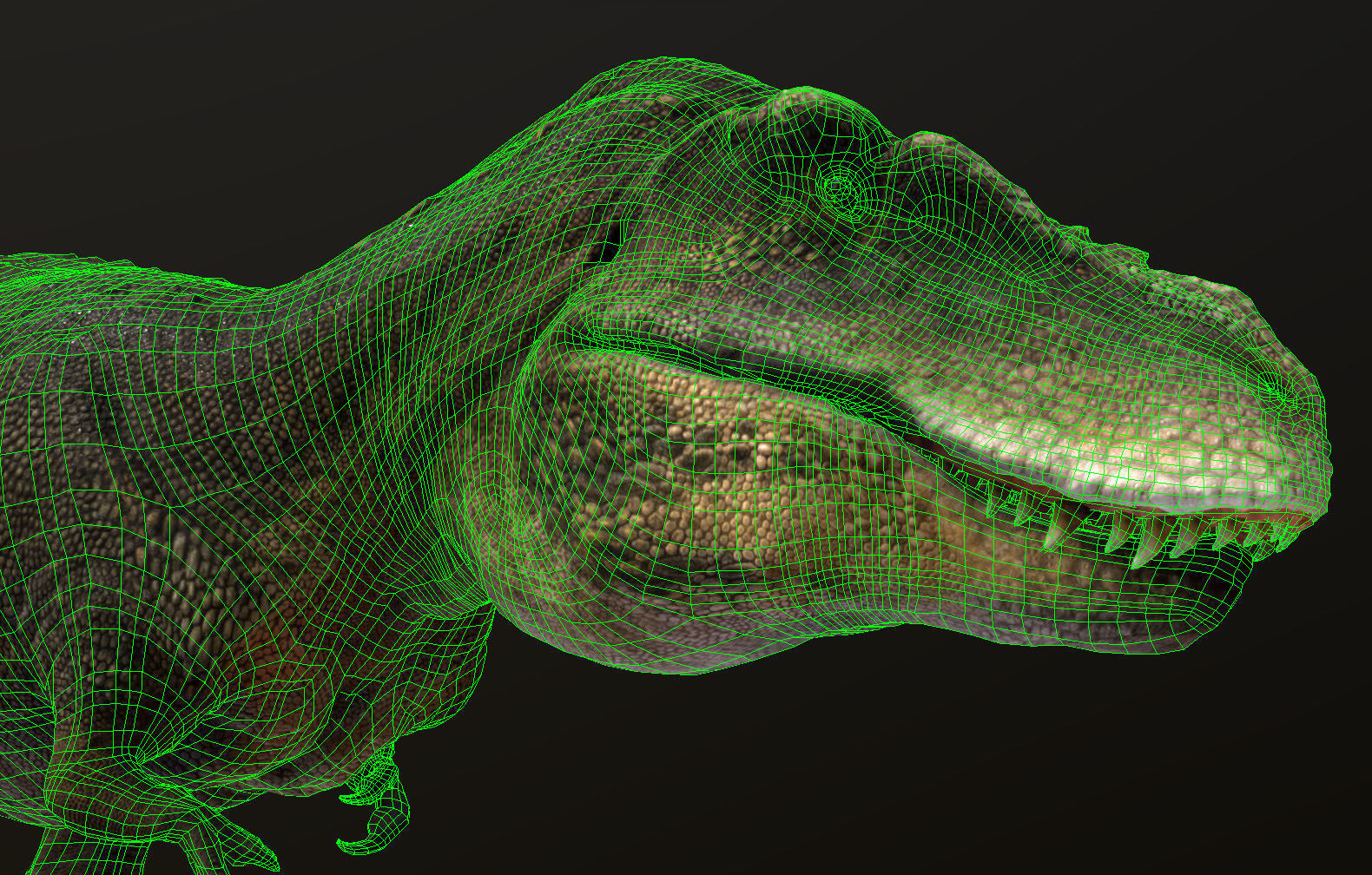 Tarbosaurus Low-poly 3D model_2