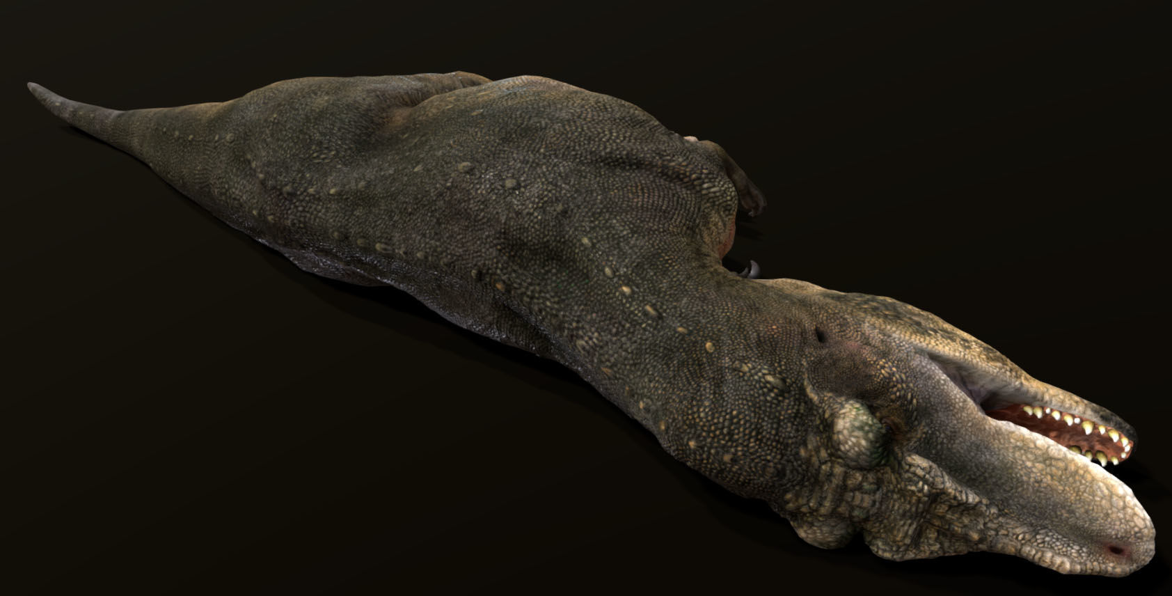 Tarbosaurus Low-poly 3D model_5